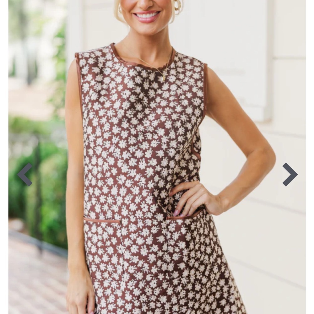 Entro Brown and White Sleeveless A-line Mini Dress